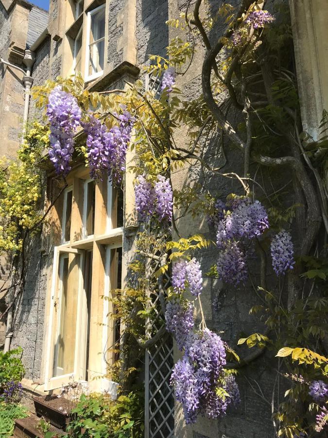 Beryl Country House Wells Kültér fotó